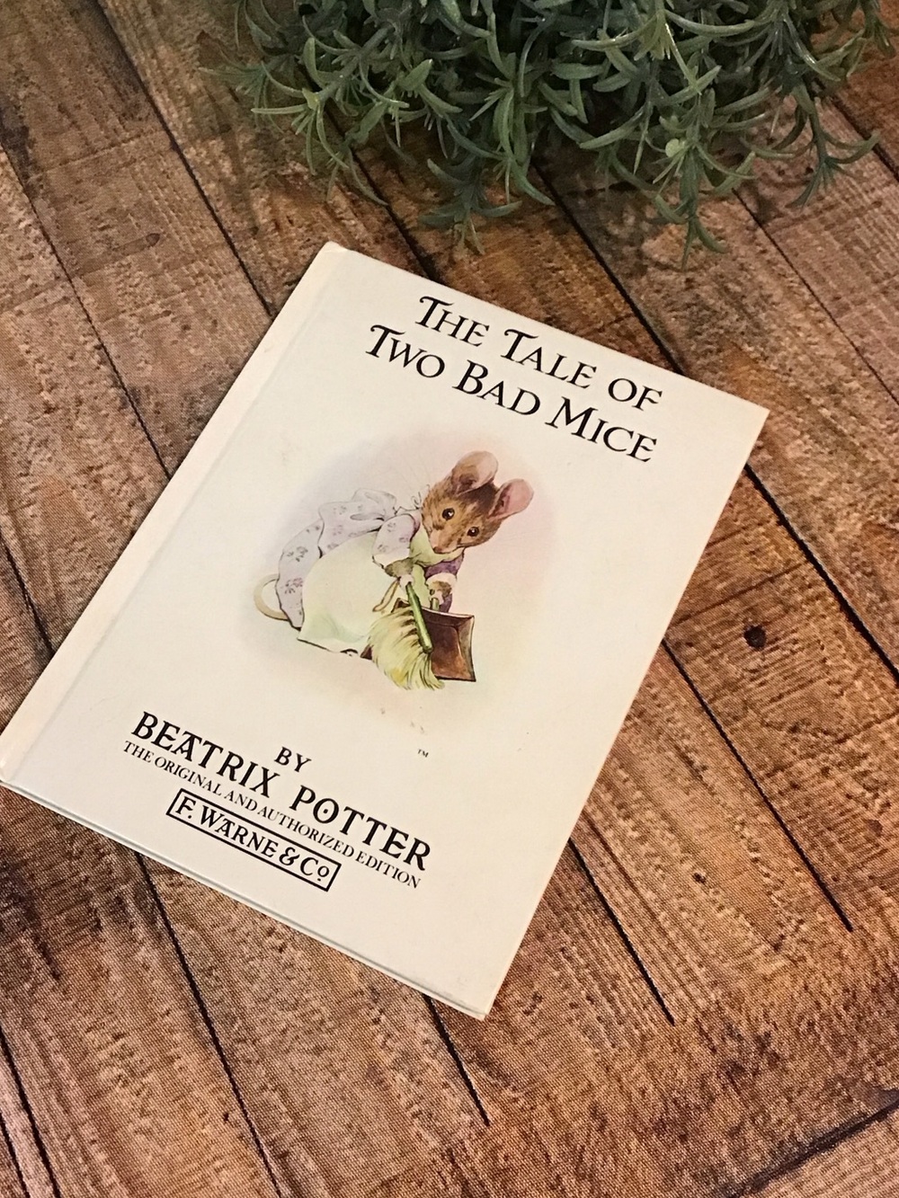 ♥️5/25$ Tale of two bad mice